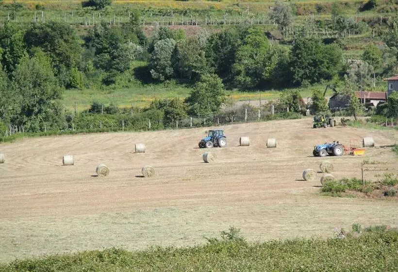 Majatalo Quinta De S.vicente