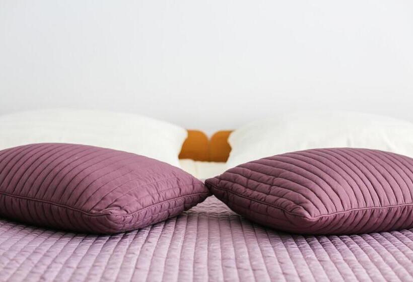 膳宿费 Vila Romana