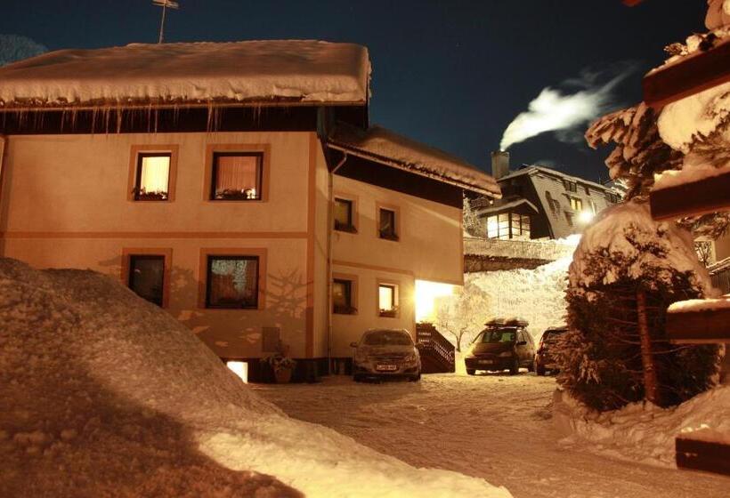 膳宿费 Vila Romana