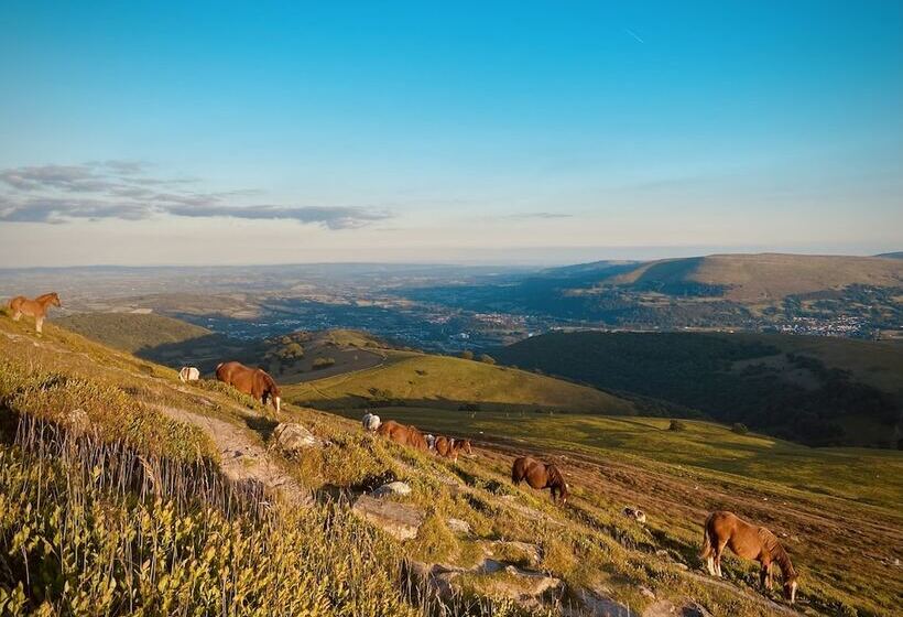 旅馆 Lamb & Flag Inn