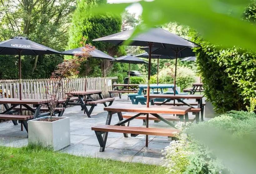 ユースホステル Lamb & Flag Inn