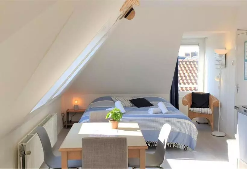ユースホステル Pension Zandvoort Aan Zee