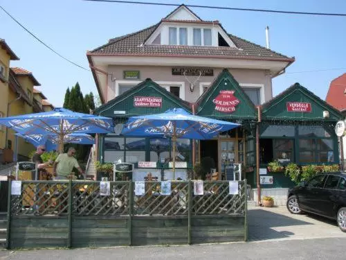 Aranyszarvas Goldener Hirsch Pension