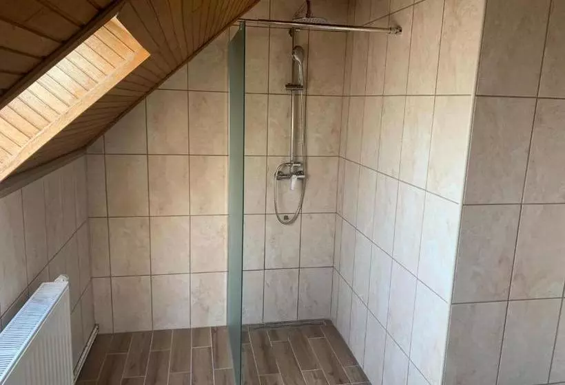 Aranyszarvas Goldener Hirsch Pension