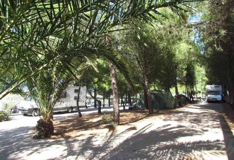 ホテル Agriturismo Le Rondini Di San Bartolo