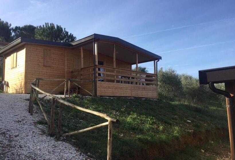 호텔 Agriturismo Le Rondini Di San Bartolo