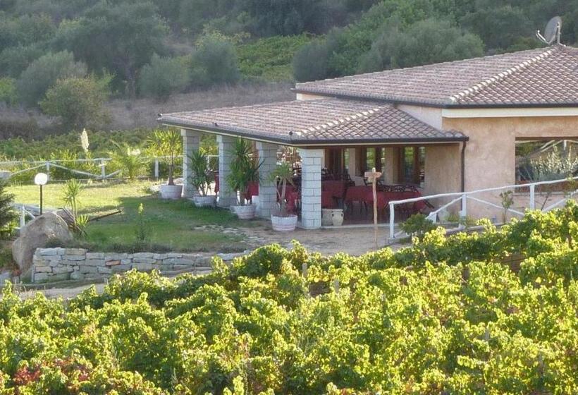 Отель Agriturismo Su Solianu