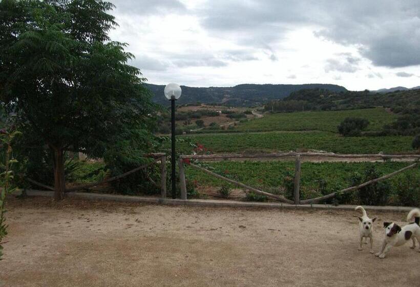 Отель Agriturismo Su Solianu