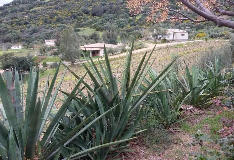 Отель Agriturismo Su Solianu