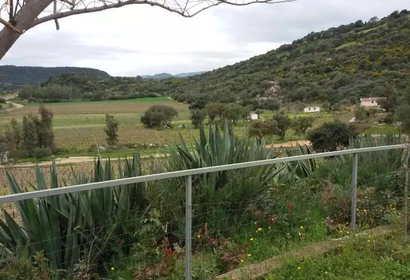 ホテル Agriturismo Su Solianu