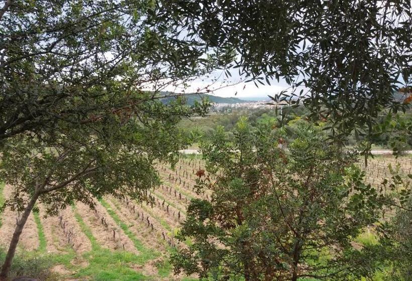 Отель Agriturismo Su Solianu