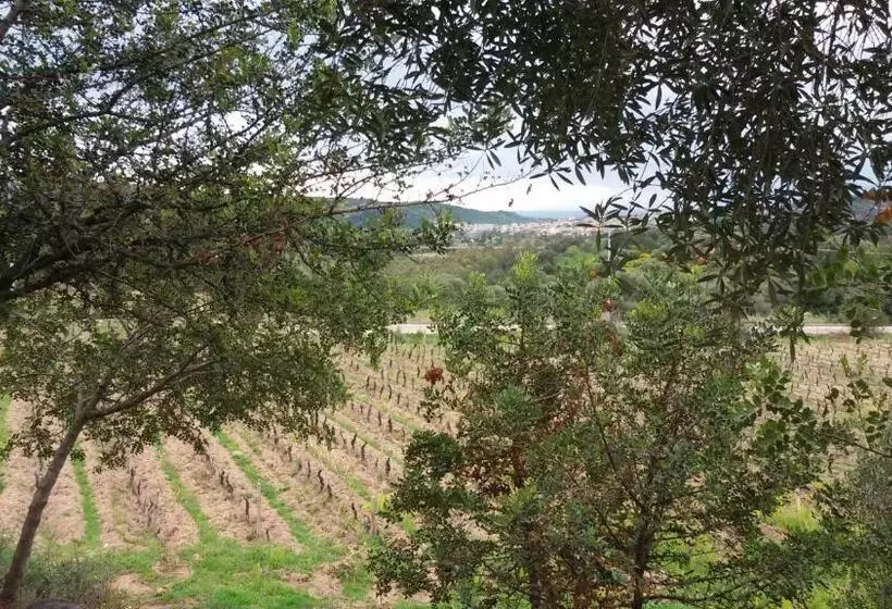 ホテル Agriturismo Su Solianu