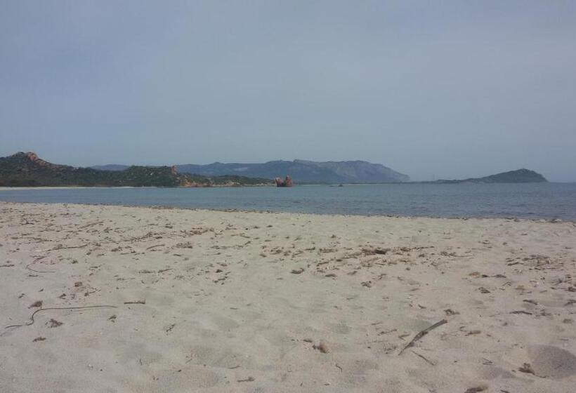 Отель Agriturismo Su Solianu