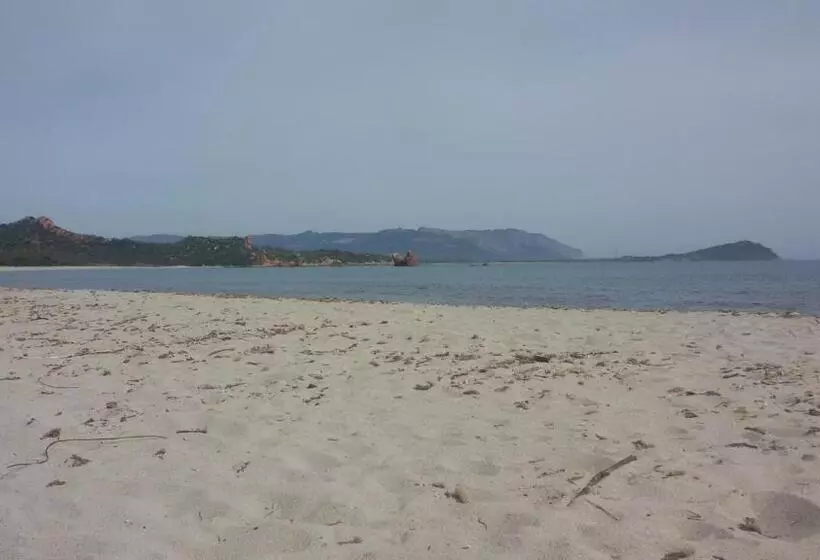 ホテル Agriturismo Su Solianu