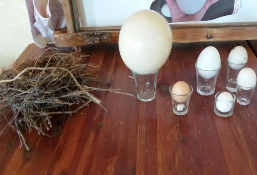 Отель Agriturismo Su Solianu