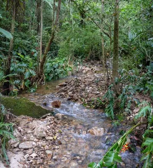 ホテル Bahia Plaza