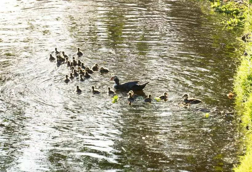 ホテル Bahia Plaza