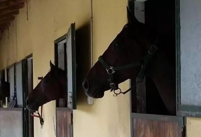 هتل La Cascina Del Castello