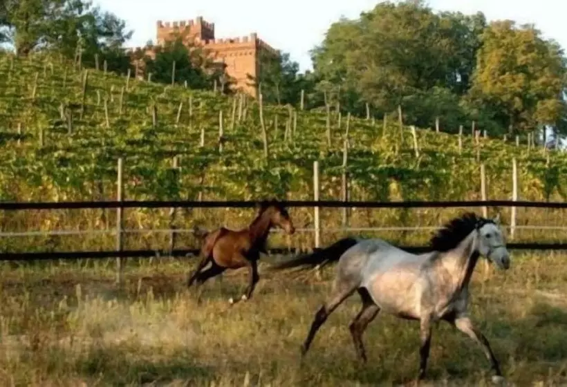 هتل La Cascina Del Castello