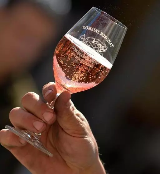 Majatalo Domaine Borgnat