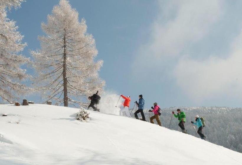 Pansiyon Gasthof Tauernalm