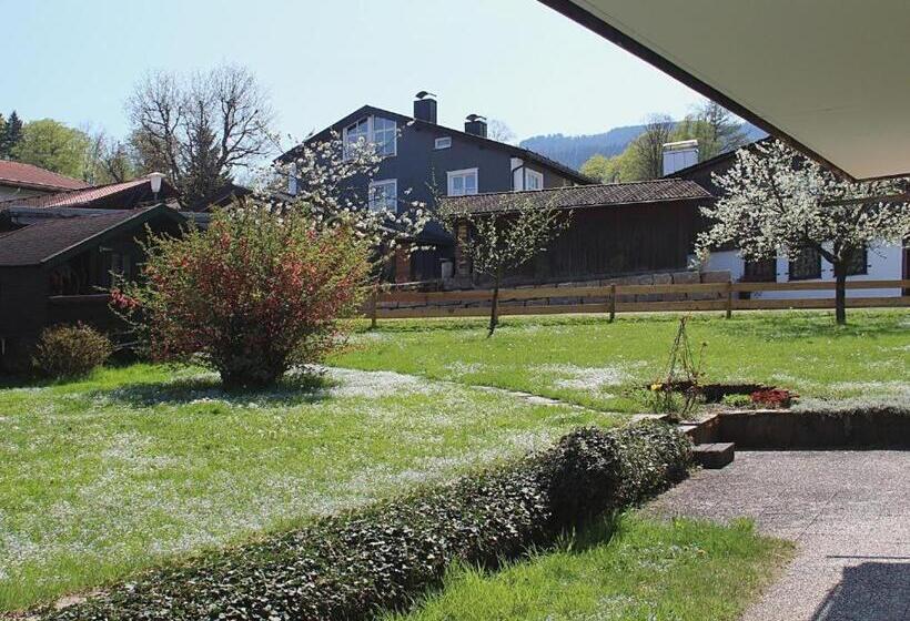 Pensão Gästehaus Alpin