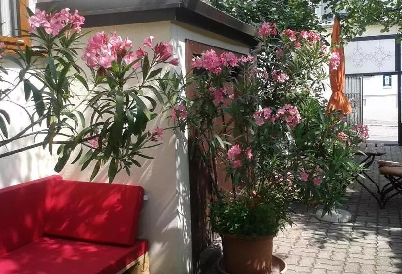 ペンション Gästehaus Elfriede