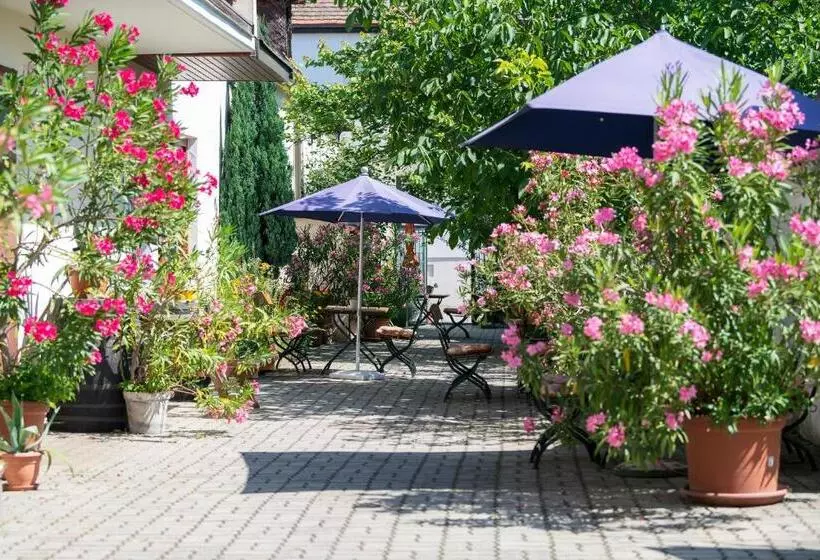 ペンション Gästehaus Elfriede