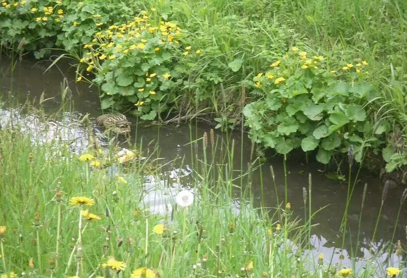 Majatalo Heilbad Burgwies