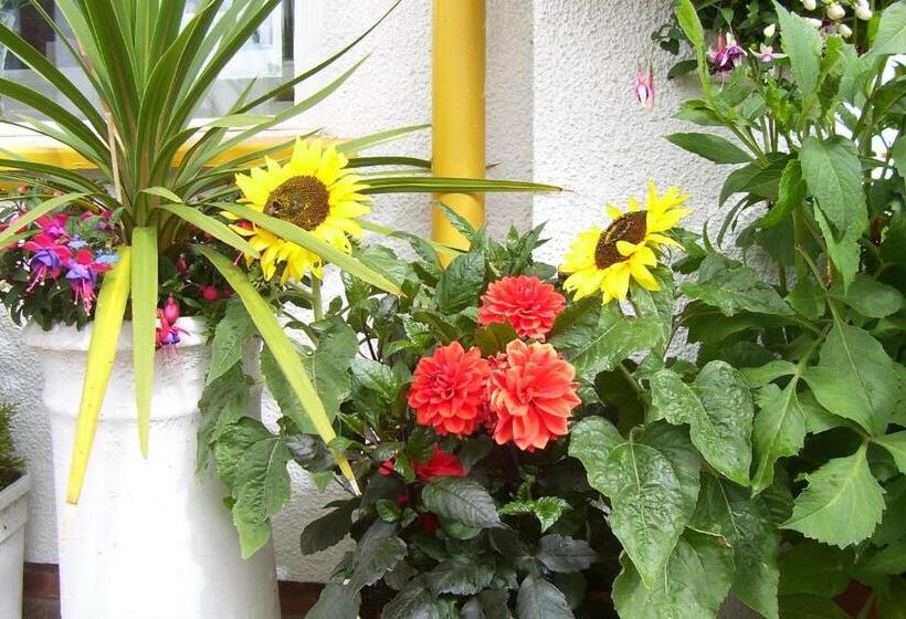 펜션 Kilbrannan Guest House