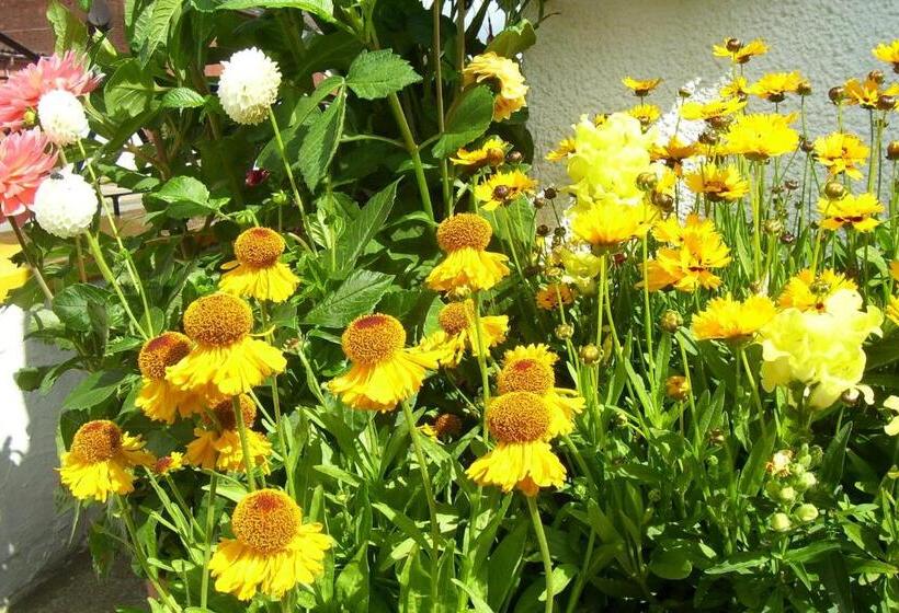 펜션 Kilbrannan Guest House