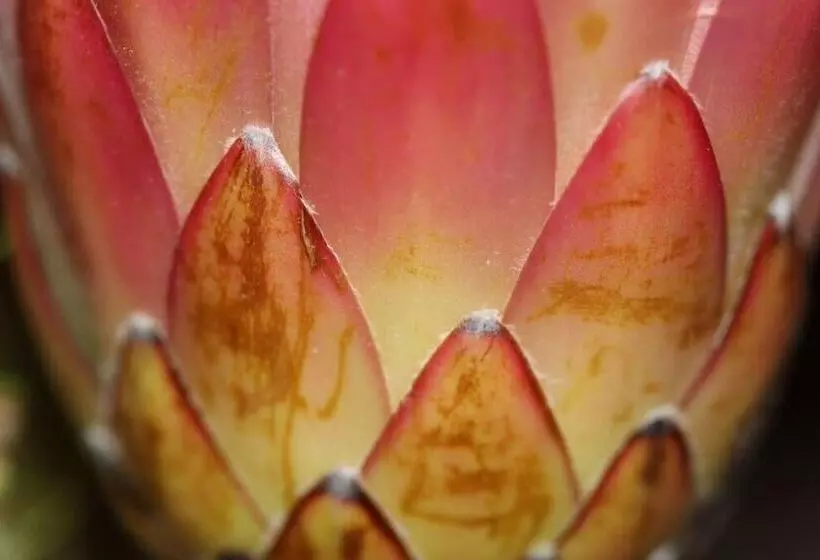 Majatalo The Lookout Guest House