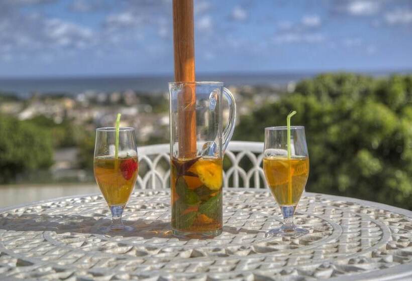 פנסיון The Lookout Guest House