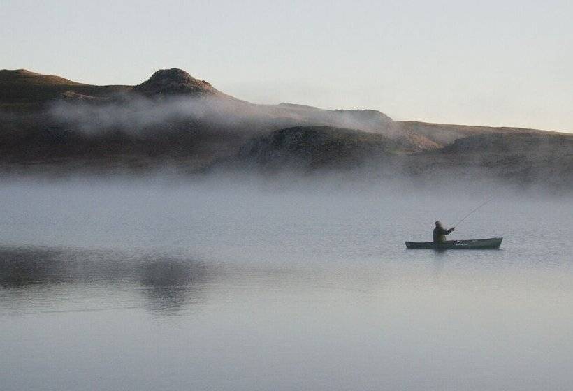 פנסיון The Lookout Guest House
