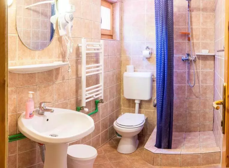 Pensiunea Casa Verde Bucuresti