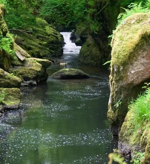 Alberg The Rockford Inn