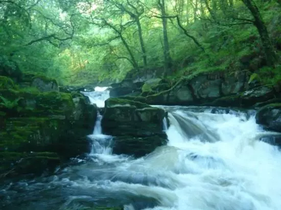 Alberg The Rockford Inn