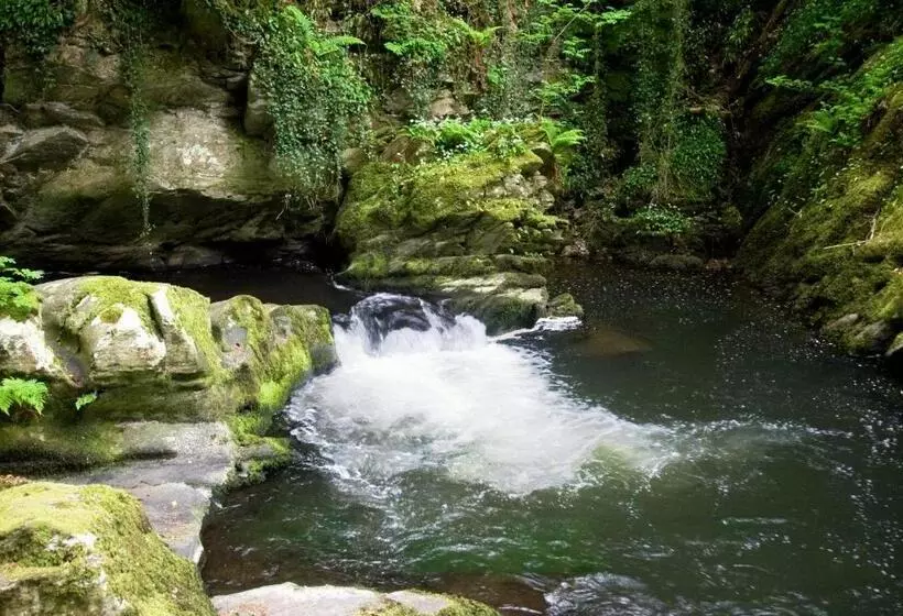 Alberg The Rockford Inn