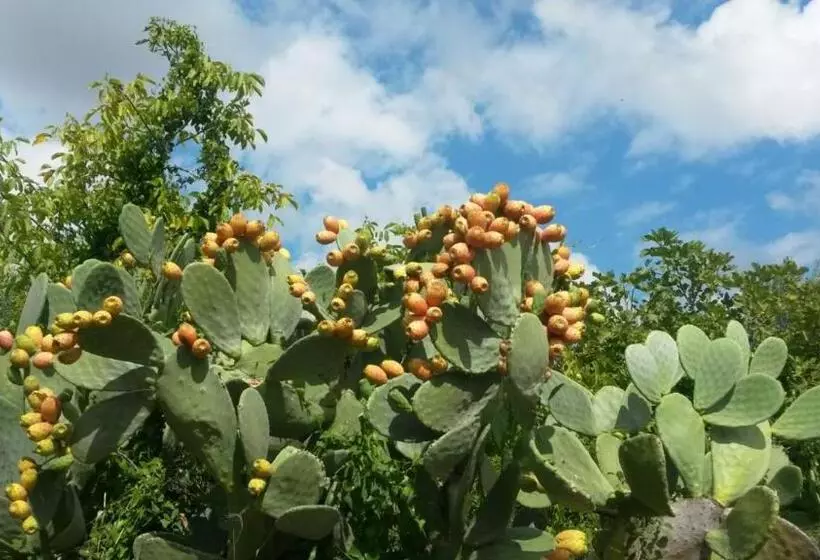 Hotelli Agriturismo Le Vedute