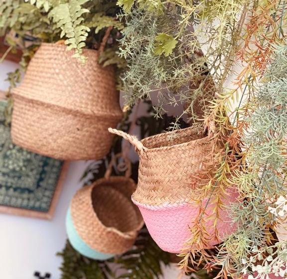 پانسیون Casa Ruy Lopez