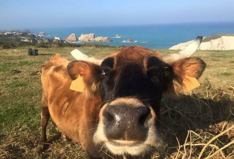 펜션 Posada La Morena