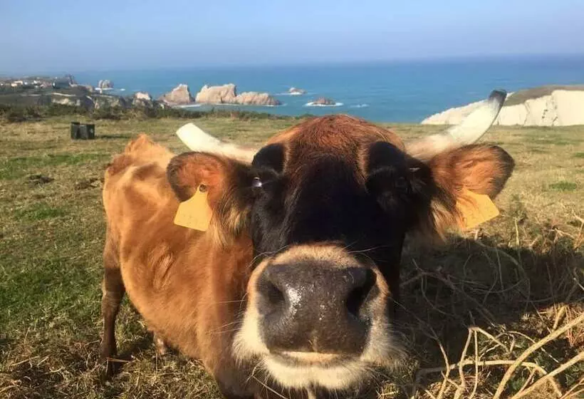 Majatalo Posada La Morena