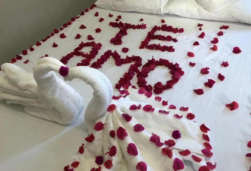 بنسيون Pousada Do Holandês