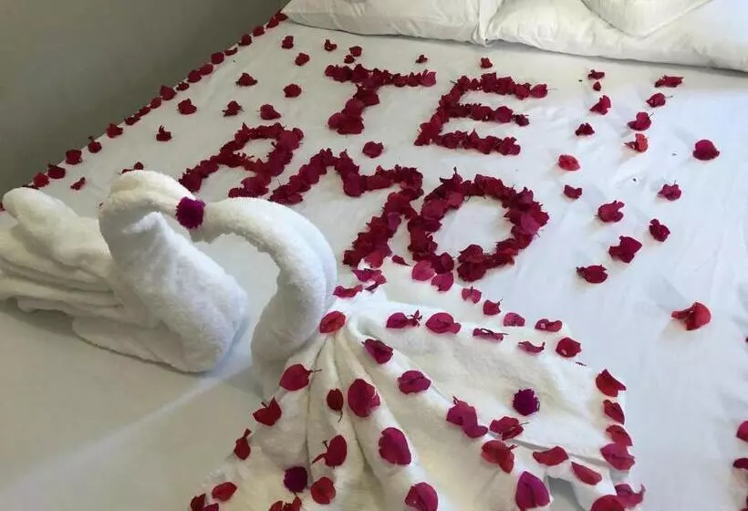 ペンション Pousada Do Holandês