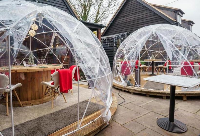 פנסיון The Limes