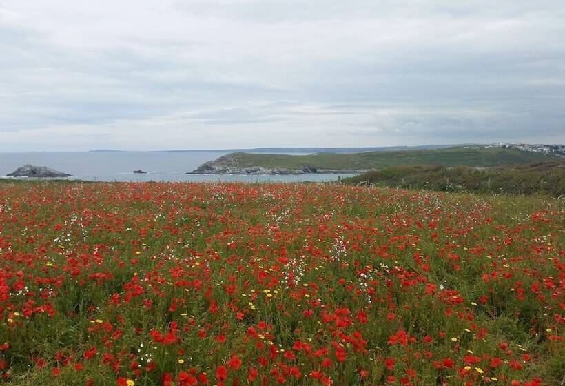 Пансион The Trelinda Guest House