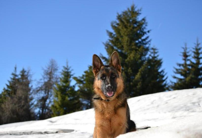 Отель Agritur Scoiattolo