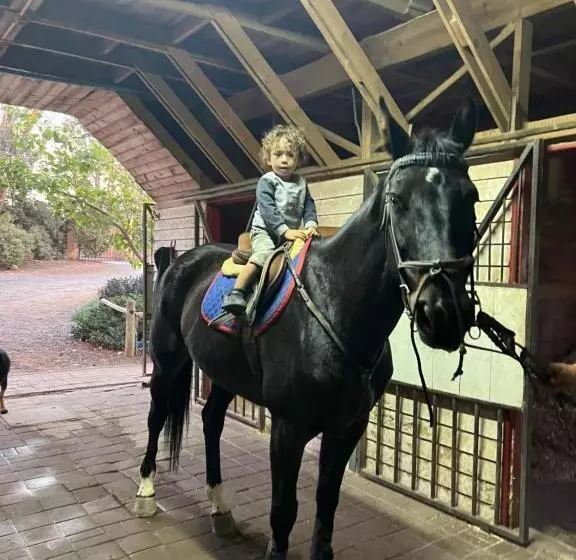ホテル Boutique La Caballeriza