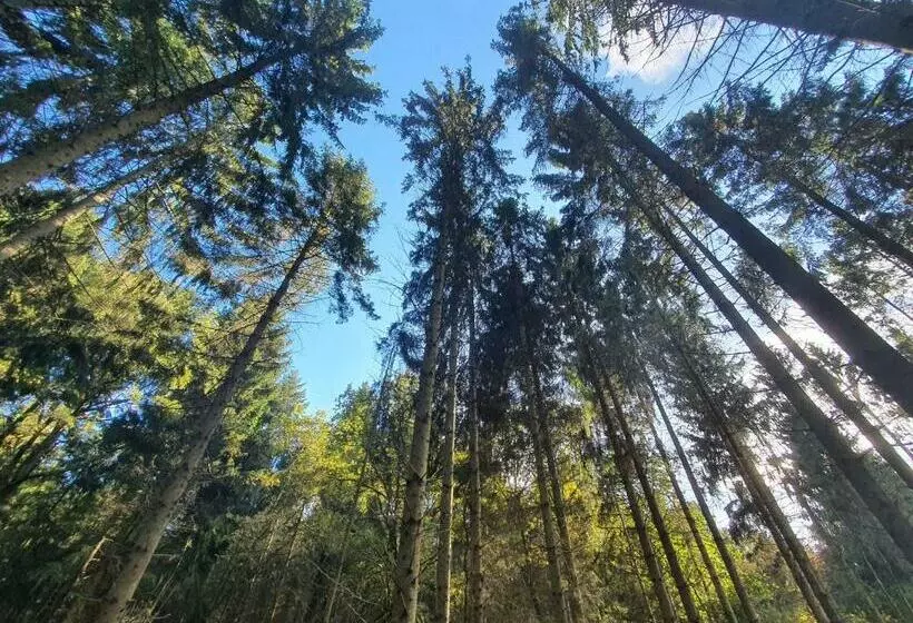 Pension Forsthaus Garz