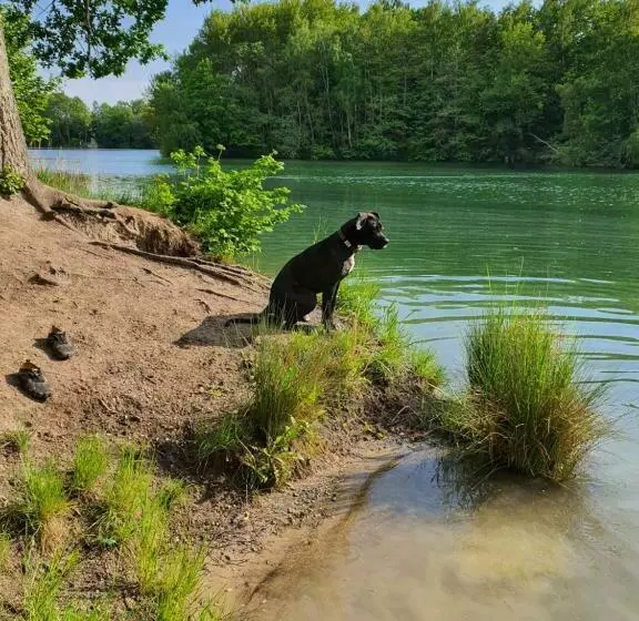 Pension Forsthaus Garz